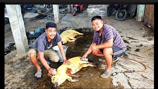 Commercial Pig Butchery Skills 2 Amazing Pig Cleaning amp Cutting Process in India [upl. by Cosenza]