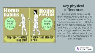 Homo Habilis and Homo Erectus [upl. by Annawoj]