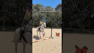 POV that showjumper that likes the idea of jumping more than actually jumping equestrian horses [upl. by Asa]