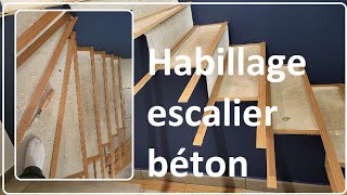 Habillage escalier 1 [upl. by Einnahpets]