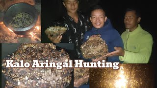 Aringal hunting in nepal local Aringal😱😋 First time experience pani lina paya [upl. by Shig]