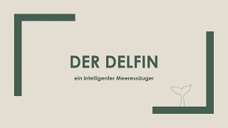 Der Delfin einfach und kurz erklärt [upl. by Karie756]