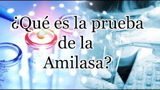 ¿Qué es una prueba de amilasa [upl. by Ellednahs259]