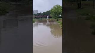 Yangjae Stream After RainRío Yangjae después de la lluvia [upl. by Patterson]