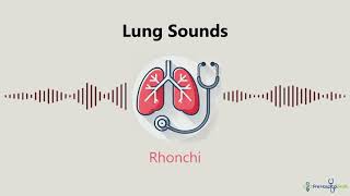 Lung Sounds Rhonchi [upl. by Nerek772]