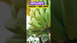 fertilizante Casero y Orgánico jardineríaencasa fertilizantesnaturales [upl. by Dygal]