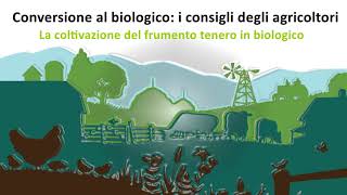 FRUMENTO TENERO  controllo erbe spontanee e qualità della granella nella coltivazione biologica [upl. by Dorothea194]