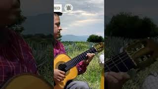 Pescador de hombres  Short  Intrumental con guitarras [upl. by Dagney455]