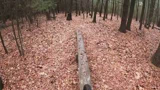 Mountain biking Chicopee state park [upl. by Wendolyn]