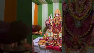 Dugamma navratri magrl hart gujialamma song trending shortvideo 🙏🙏 [upl. by Rauscher539]