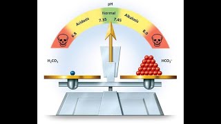 Équilibre acidobasique partie 1 lacidose métabolique [upl. by Mohl]