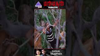 Kadhal Valarthen Video Song  Manmadhan Movie Song  STR  Jyothika  Yuvan Shankar Raja  Shorts [upl. by Grote]