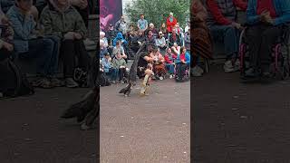 First nation dance in Whitehorse Yukon Canada music dance travel [upl. by Nnylannej]