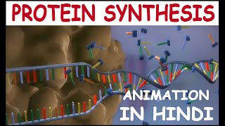 PROTEIN SYNTHESIS ANIMATION IN HINDI BY NILESH ANANDWANI SIR [upl. by Hennebery]