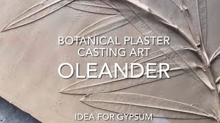 BAS RELIEF WALL ART TUTORIAL  OLEANDER  BOTANICAL PLASTER CASTING ART  BAS RELIEF SCULPTURE [upl. by Nolita392]