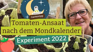 Erste Tomatenansaat 2022 nach dem Mondkalender [upl. by Frodina]