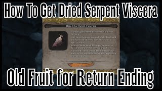 Sekiro Shadows Die Twice  How to Get Dried Serpent Viscera Old Fruit for Return Ending [upl. by Nilek814]