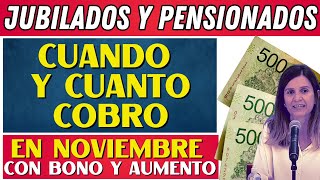 💲 CUANDO Y CUANTO COBRO EN NOVIEMBRE Jubilados y Pensionados  PNC de ANSES [upl. by Eelak]