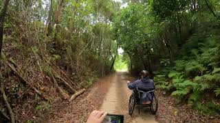 Batec Ride Murwillumbah Rail Trail To Stokers Siding New South Wales [upl. by Lothair946]