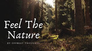 Feel The Nature  Cinematic Short Video • Nature B roll [upl. by Gillett]