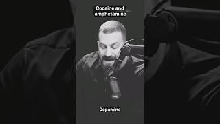 quotCocaine vs Amphetamine  Dopamine Hijackersquot shorts health [upl. by Kablesh698]