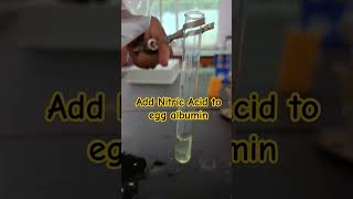 Xanthoproteic TestEgg Albumin  Nitric Acid amp heat 12th chemistryscience [upl. by Ramyaj]