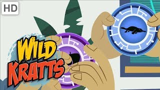 Wild Kratts  Top Season 3 Moments 76 Minutes  Kids Videos [upl. by Cherrita]