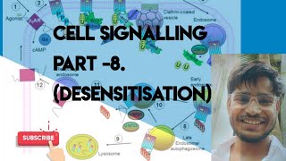 cell signalling part 8 Desensitisation csirdbt iisc [upl. by Earised]