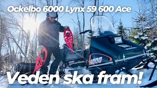 Kör fram veden med Ockelbo 6000 Lynx 59 600 ACE Stihl MS251  Torpet [upl. by Aliekat]