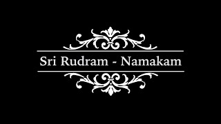 Sri Rudram  Namakam with meaning [upl. by Ocirderf]