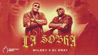 Wildey El Dray  LA SOBRA Video Oficial [upl. by Griffie787]