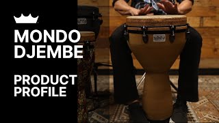 Mondo Djembe  Remo [upl. by Fraase]