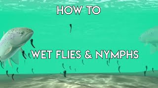 Using Wet Flies amp Nymphs  How To [upl. by Beeck]