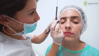 El paso a paso de Microblading 3D de cejas [upl. by Anaiq603]