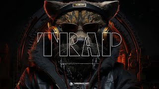 Best Trap Mix 2024  Hiphop Party Trap Music 2024 [upl. by Muhcan538]