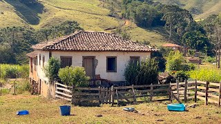 FARINHA DE MILHO DE MONJOLO E A CASA DE 200 ANOS  ALAGOA MG [upl. by Jeannette]