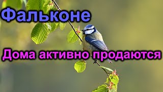 Фальконе Дома активно продаются [upl. by Asselim689]