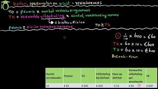 Verzekeraars  opbrengsten kosten en winst economie uitleg [upl. by Alletniuq]