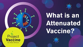 What is a Live Attenuated Vaccine [upl. by Ahtar]