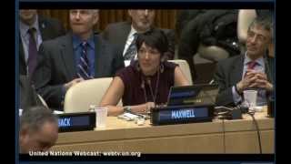 TerraMar Founder Speaks at the United Nations [upl. by Nailuj]