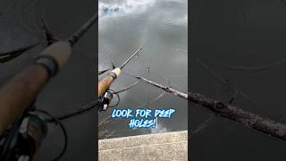 HOW TO FIND Catfish In A Lake 🎣 shorts fishing [upl. by Alyakam]