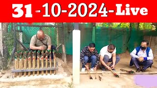 skibidi toilet skibiditoilet skibidi Shillongteerguti💯☑🔴Live 31102024 [upl. by Franciska733]