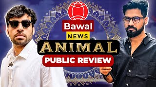 ANIMAL Public Review  Bawaal News [upl. by Kermit]