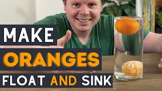 Floating and Sinking Orange Experiment  Density STEM Activity For Kids [upl. by Einhapets475]