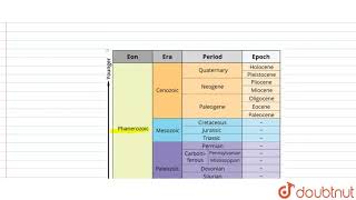 Anong the following periods which of the following belong to palaeozoic era   12  EVOLUTION [upl. by Beberg]