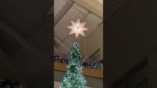 Christmas 🎄 TREE 🌲 is UP At Bellevue square mall [upl. by Ilime540]