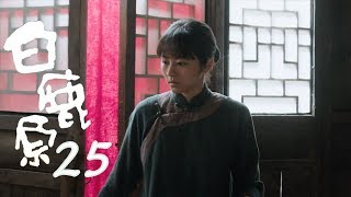 白鹿原  White Deer 25【DVD版】（張嘉譯、秦海璐、何冰等主演） [upl. by Jerald]