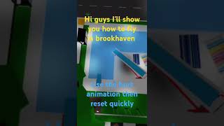 How to fly in brookhaven rp [upl. by Aubrie]