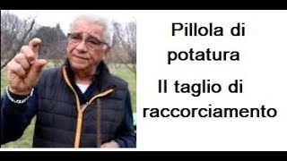 Pillola di potatura il taglio di raccorciamento [upl. by Carothers447]