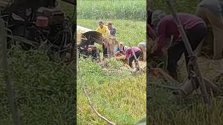 Farmers Harvester philippines farming [upl. by Jessa]